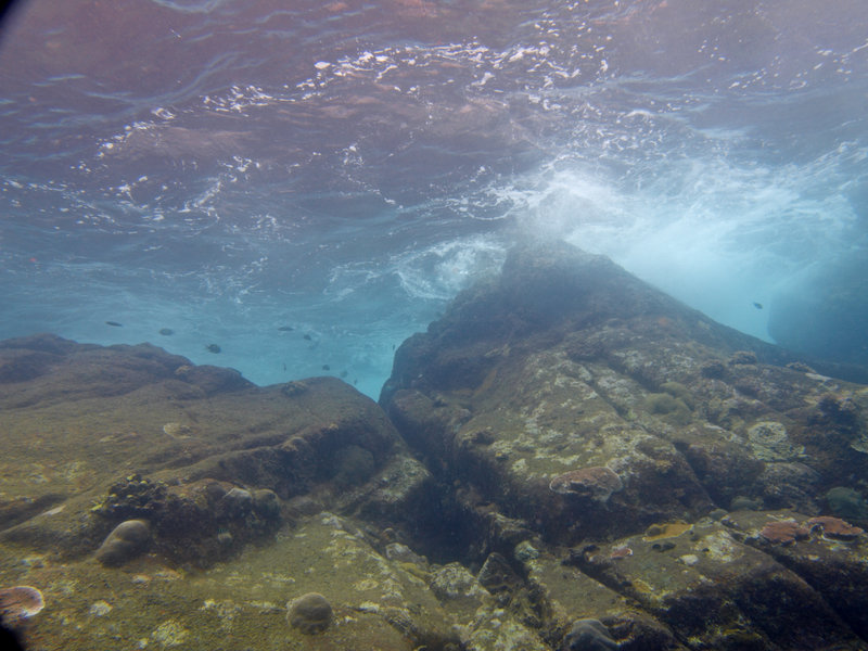 Underwater Scene, Natural Light